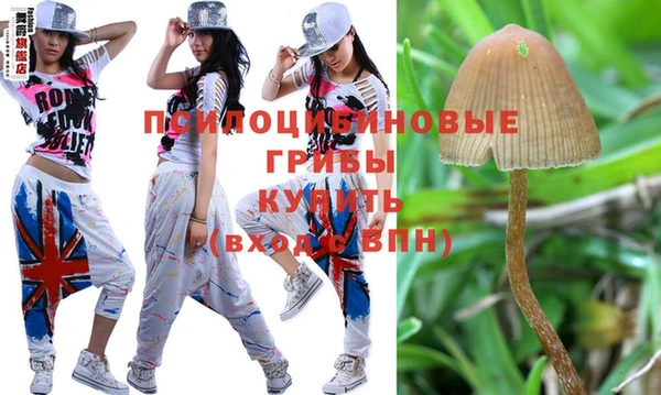 mix Покачи